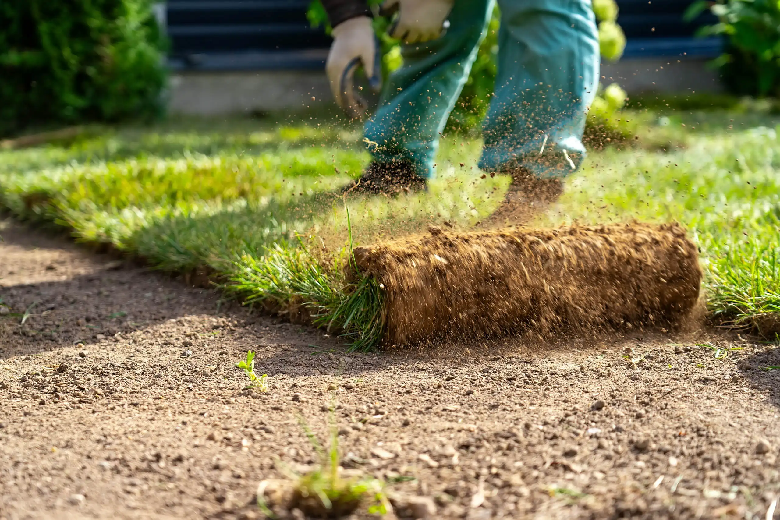 Louisville, CO Lawn Care Services Louisville, CO Lawn Care Services