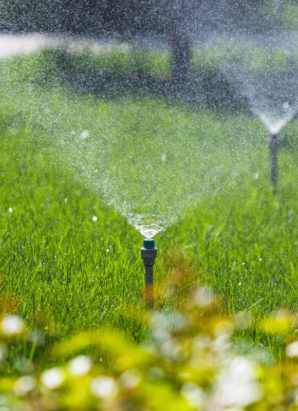 Sprinkler Blowouts in Thornton, CO, Broomfield, CO, Westminster, CO and Surrounding Areas