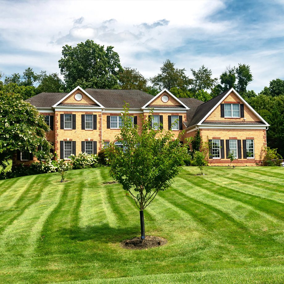 Landscaping Services and Lawn Maintenance for Homes in Thornton, CO