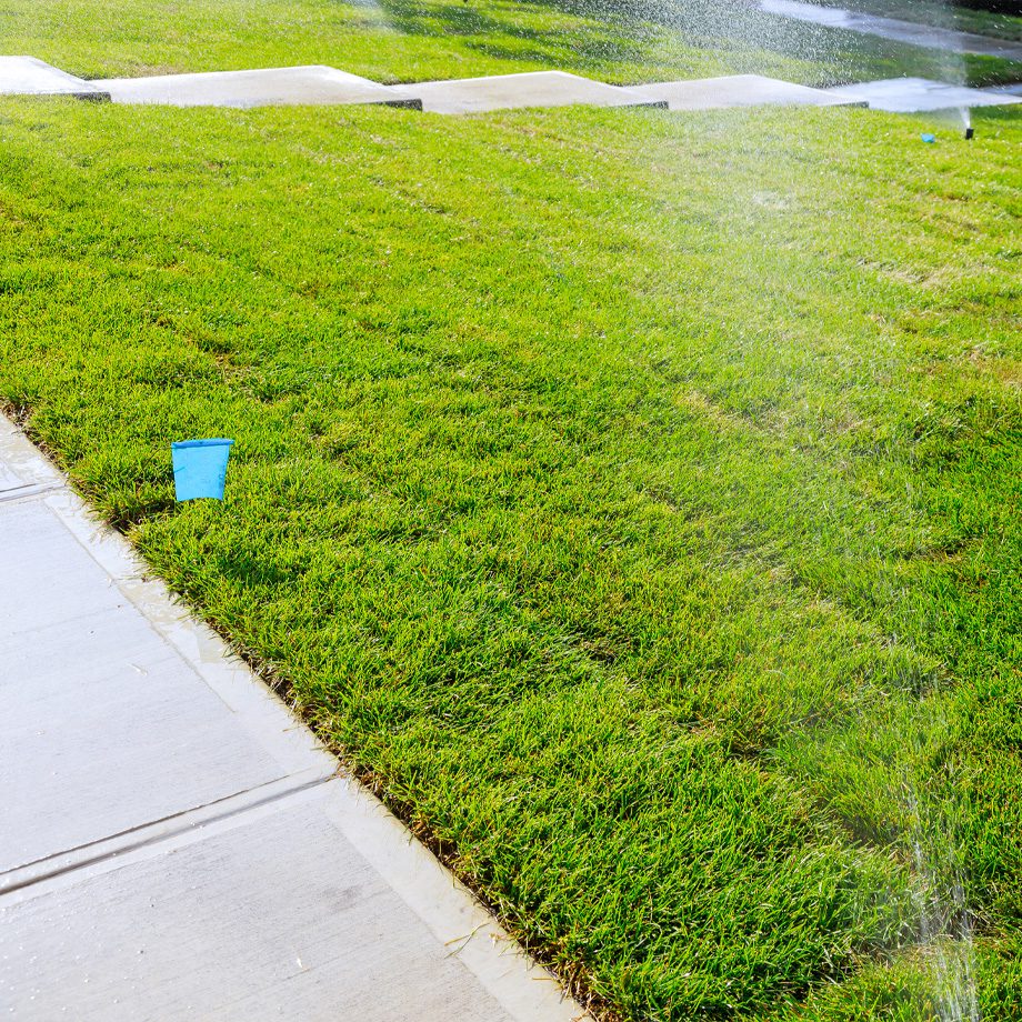 Fresh Sod Installation Watered By Sprinkler System In Northglenn, CO