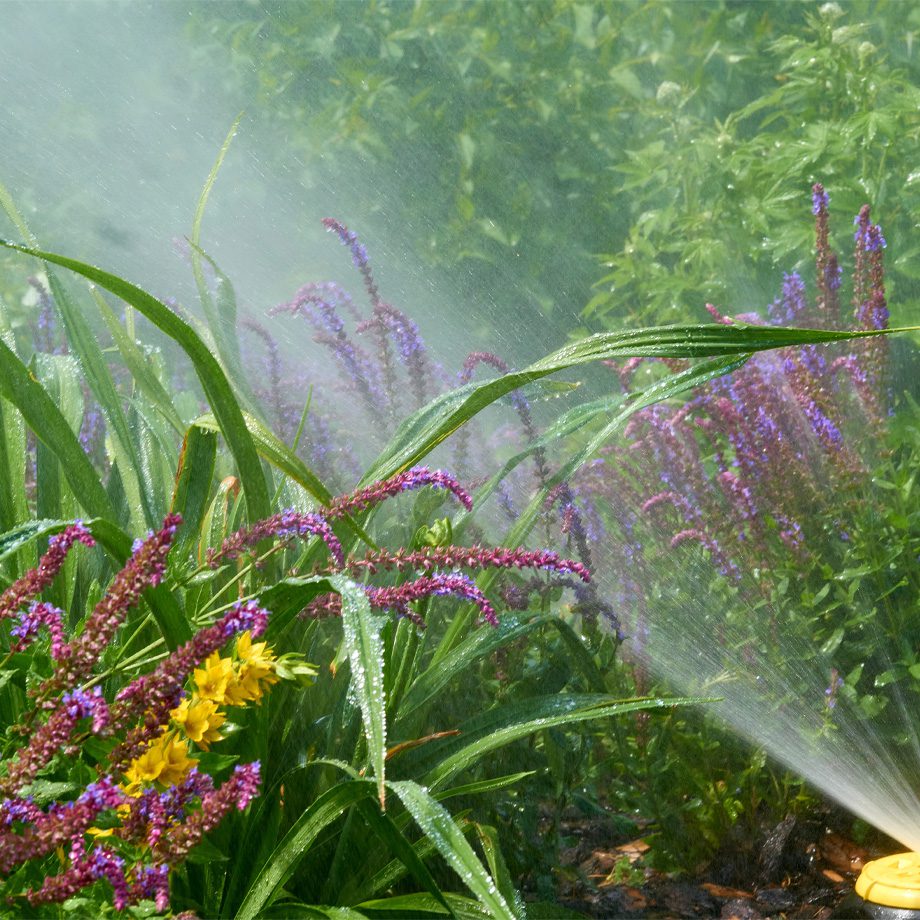 Landscaping Services, Landscape Maintenance, Sprinkler System Watering Landscape Beds In Thornton, Lafayette, Broomfield, Westminster, Erie, CO