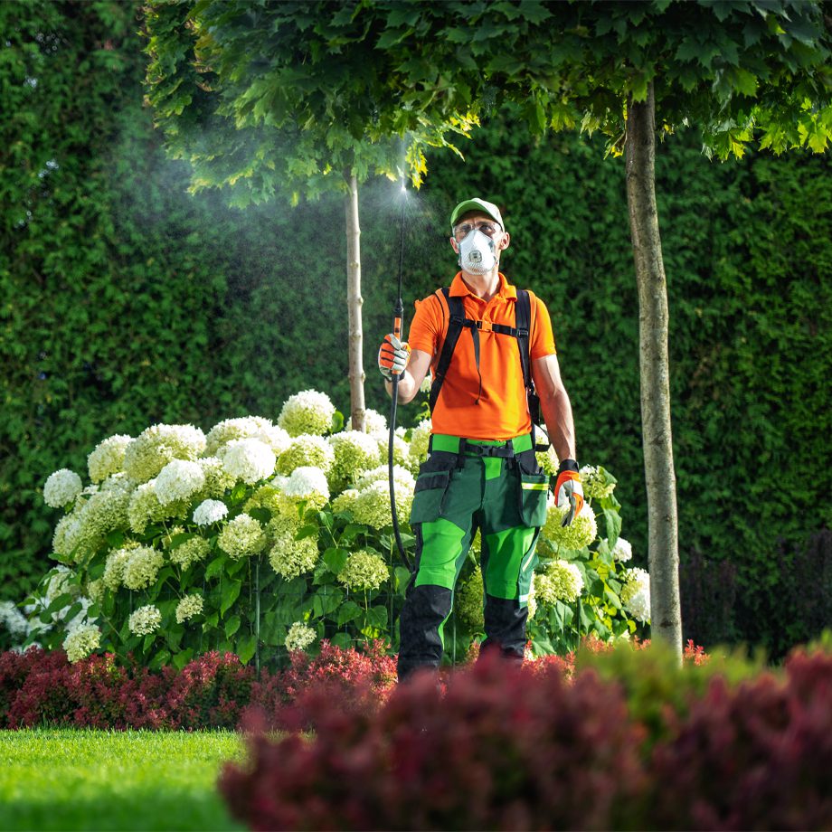 Landscape Maintenance Technician Irrigating Thornton, CO Lawn