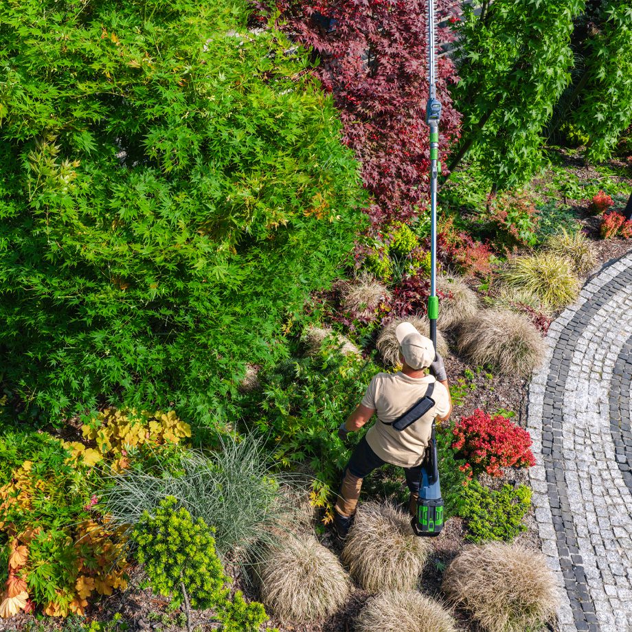 Landscape Design and Maintenance Companies Serving Broomfield, Erie, Lafayette, CO