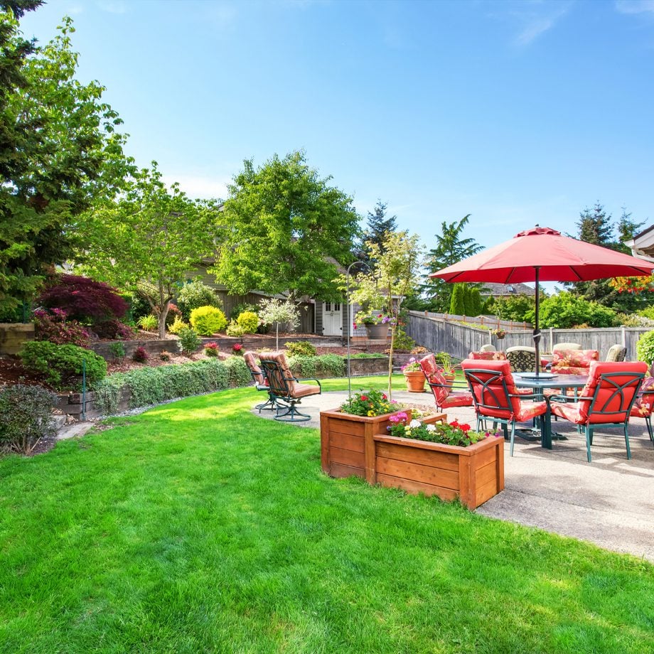 Westminster Landscape Design Project in Backyard