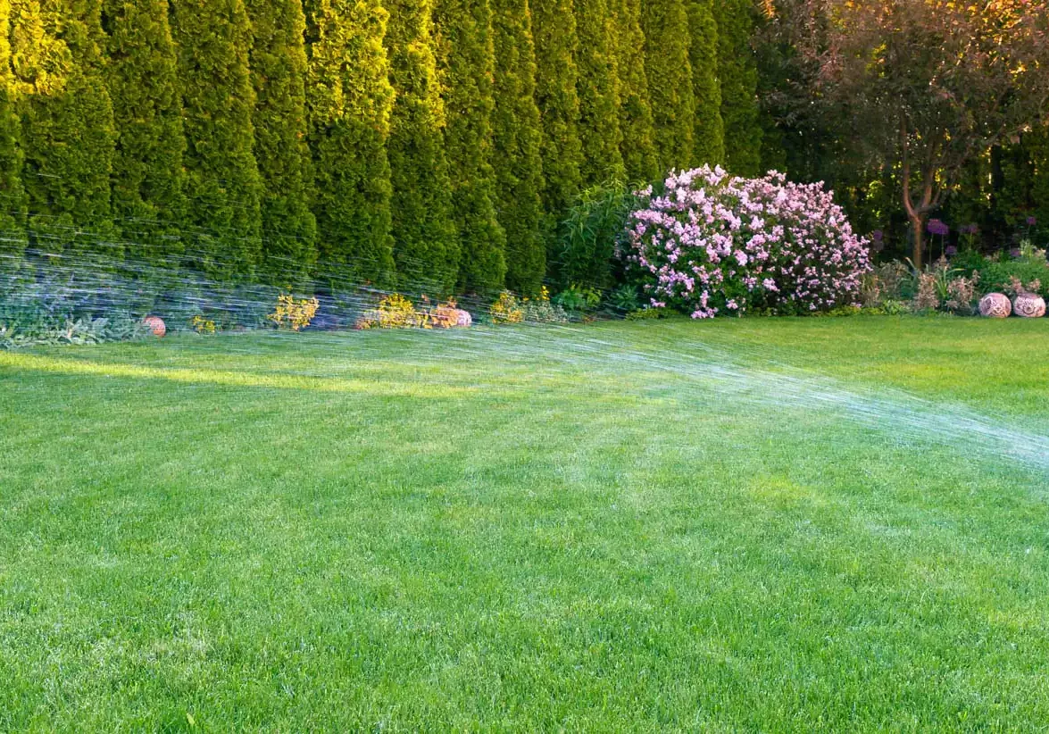 Thornton, CO Lawn Care Services