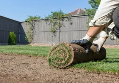 Thornton, CO Landscape Installation