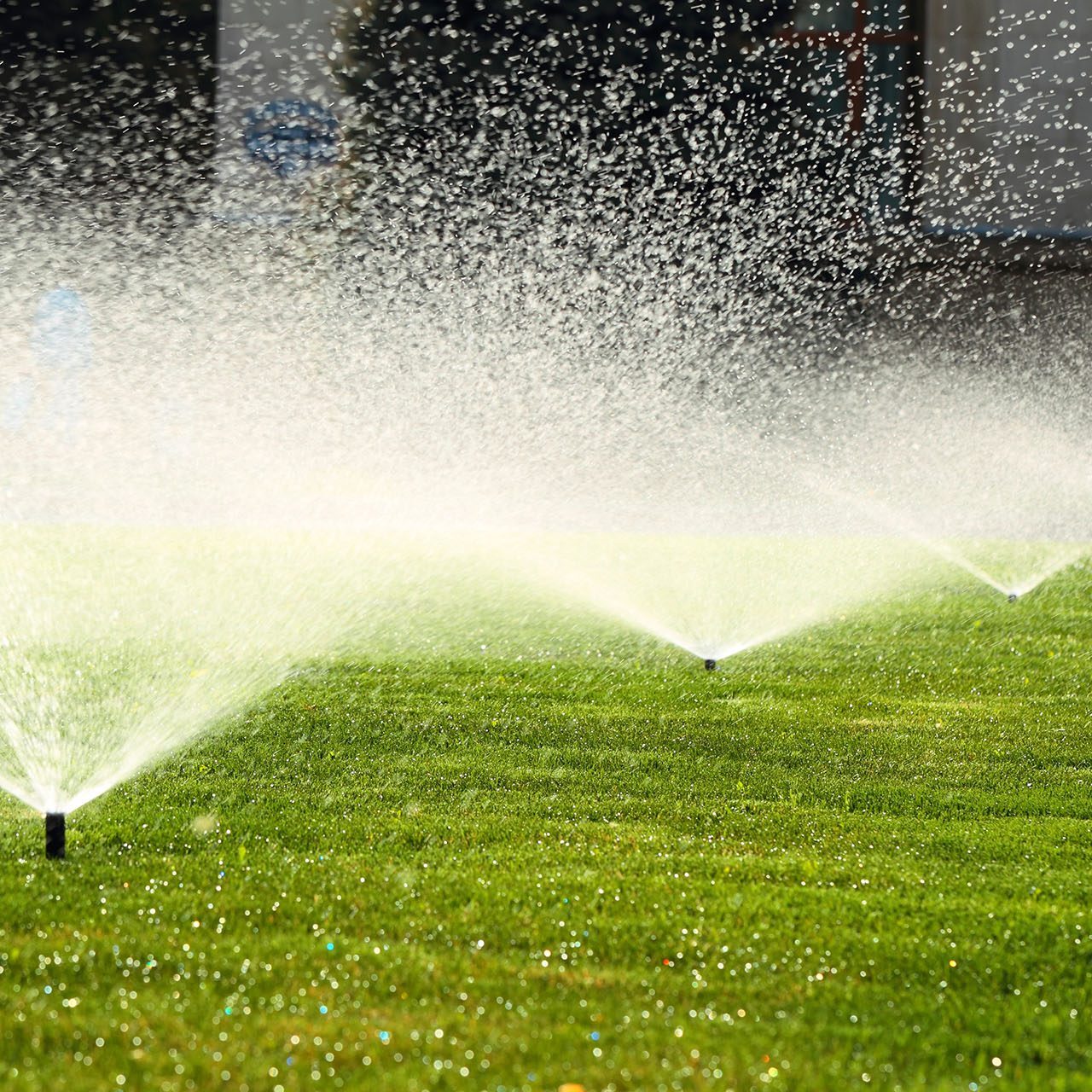 Process for Sprinkler Repair, Installation, Blow Out and Turn On Services in Westminster, CO