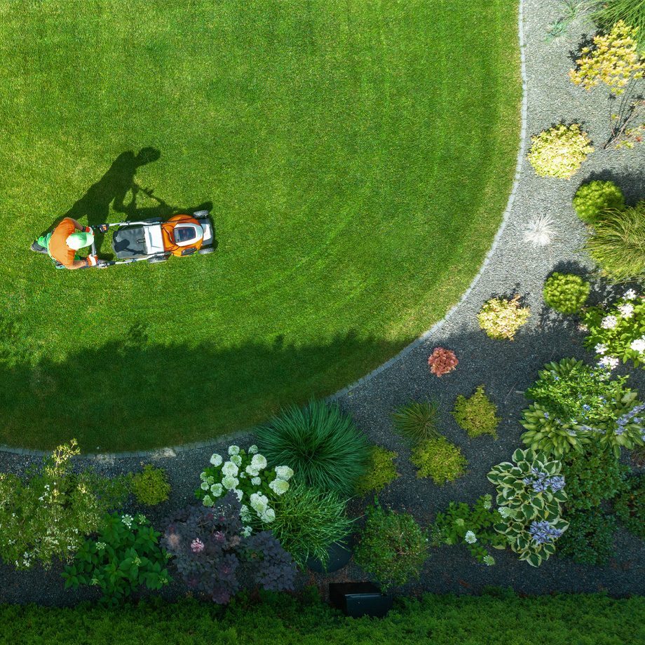 Landscape Maintenance and Professional Landscaping Services in Thornton, CO