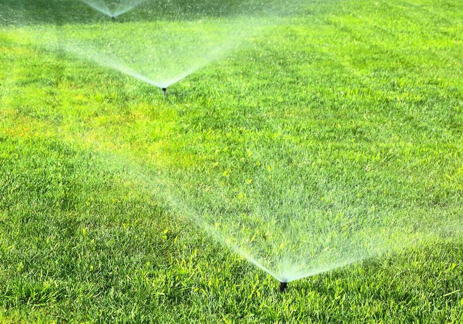 Commercial Irrigation And Sprinkler Installation In Northglenn, CO