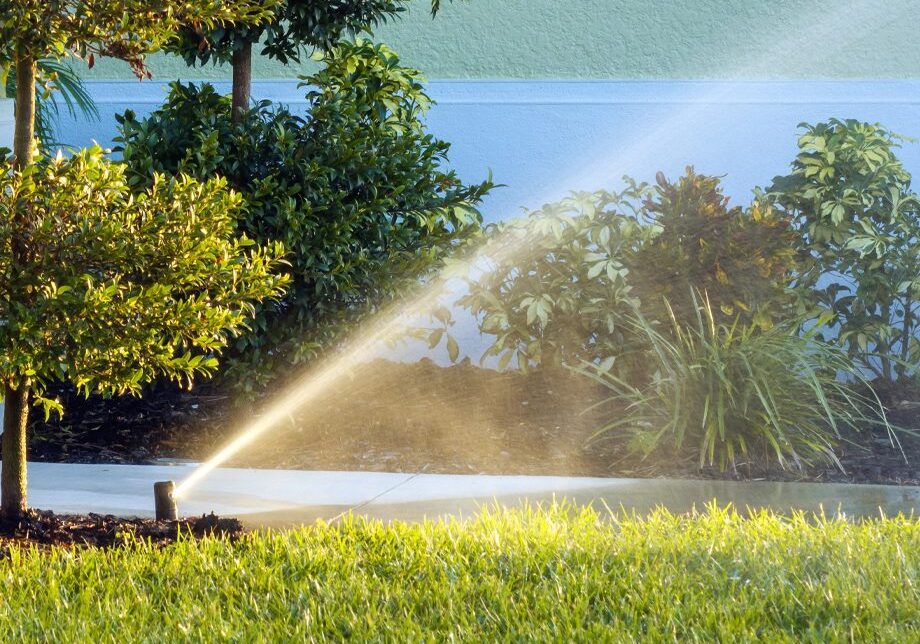 Landscape Maintenance for Northglenn, Thornton, Westminster, CO Residents