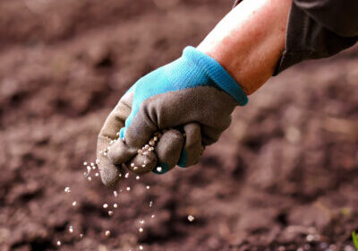 Thornton, CO Commercial Landscaping Companies